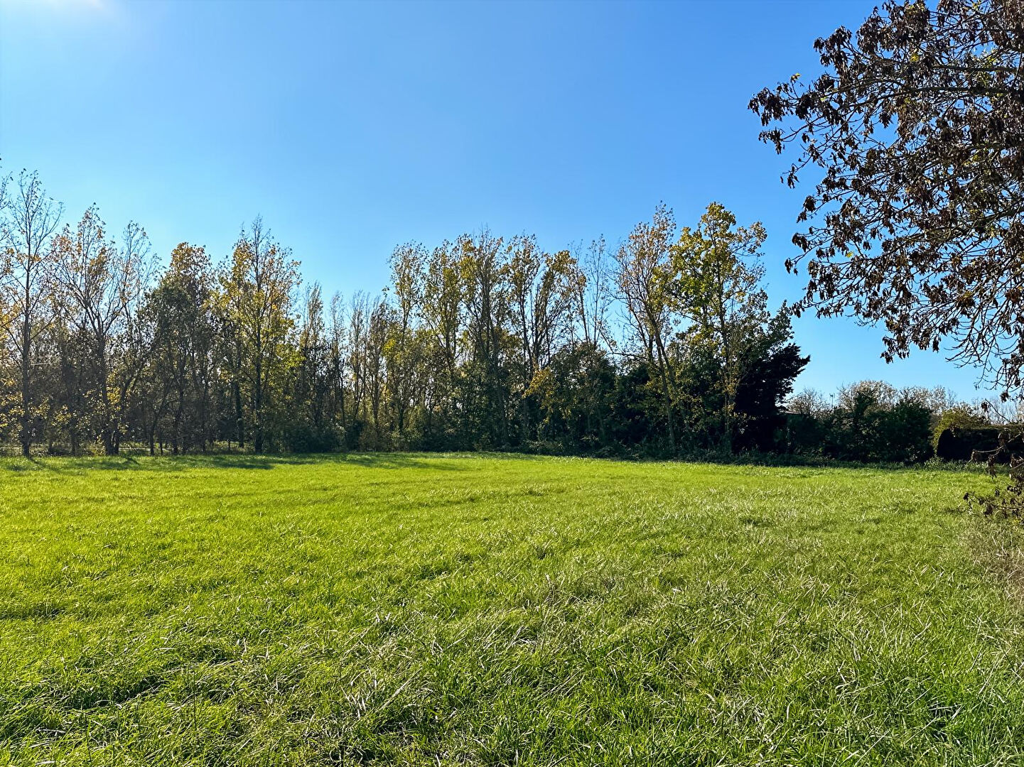 Terrain LE PERRIER (85300) 1180.00 m²