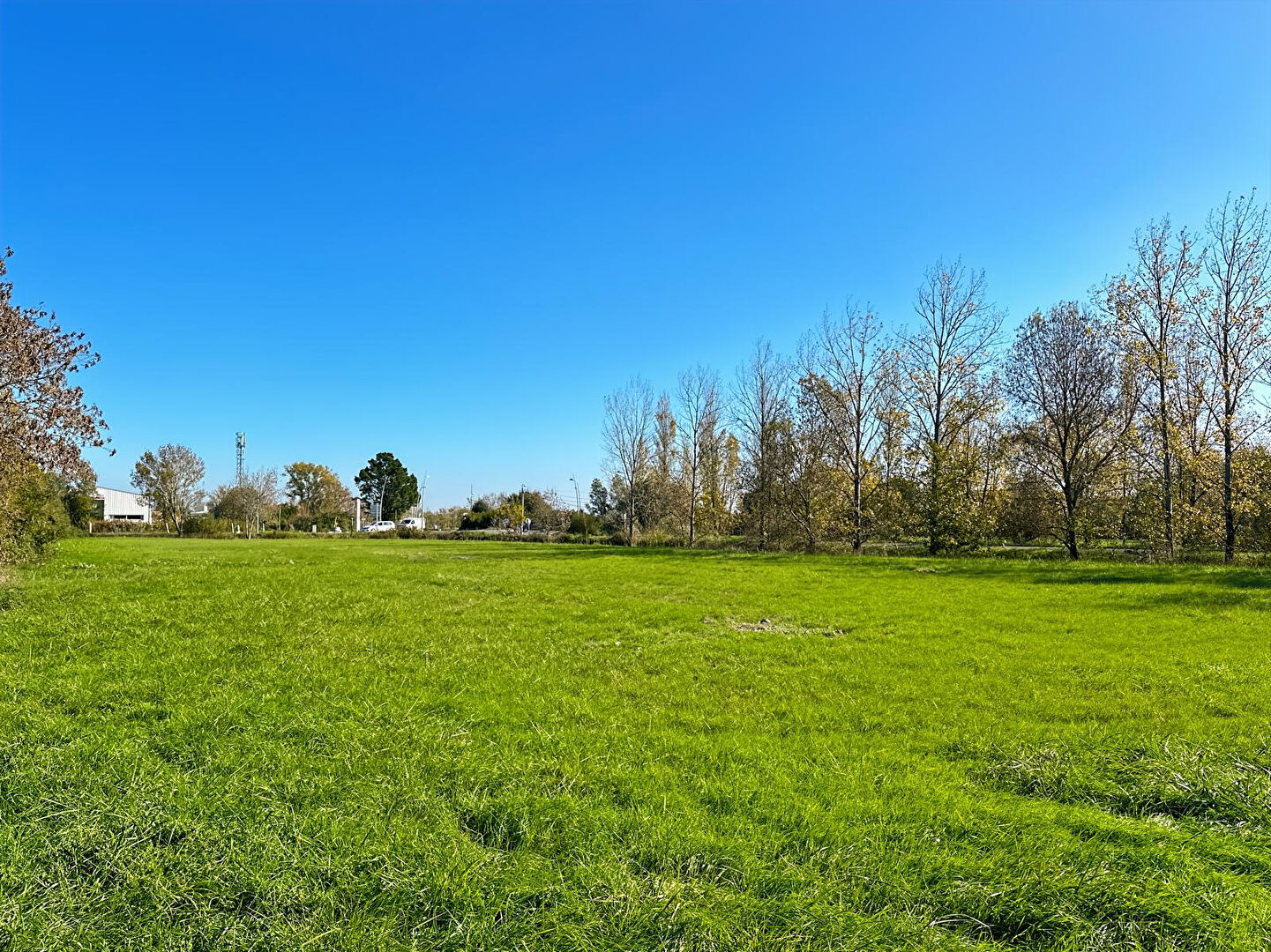 Terrain LE PERRIER (85300) 1424.00 m²