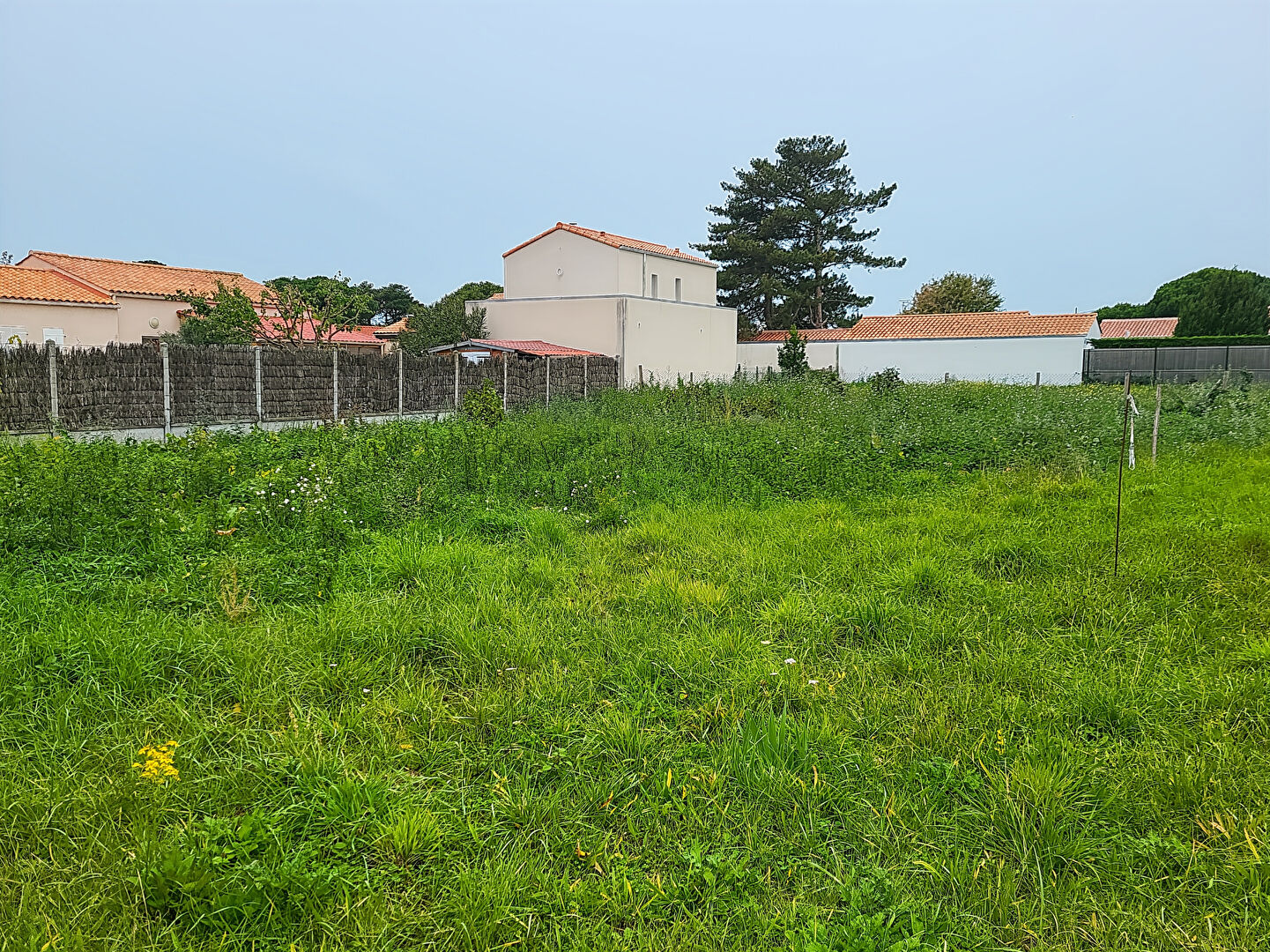 Terrain NOTRE DAME DE MONTS (85690) 600.00 m²
