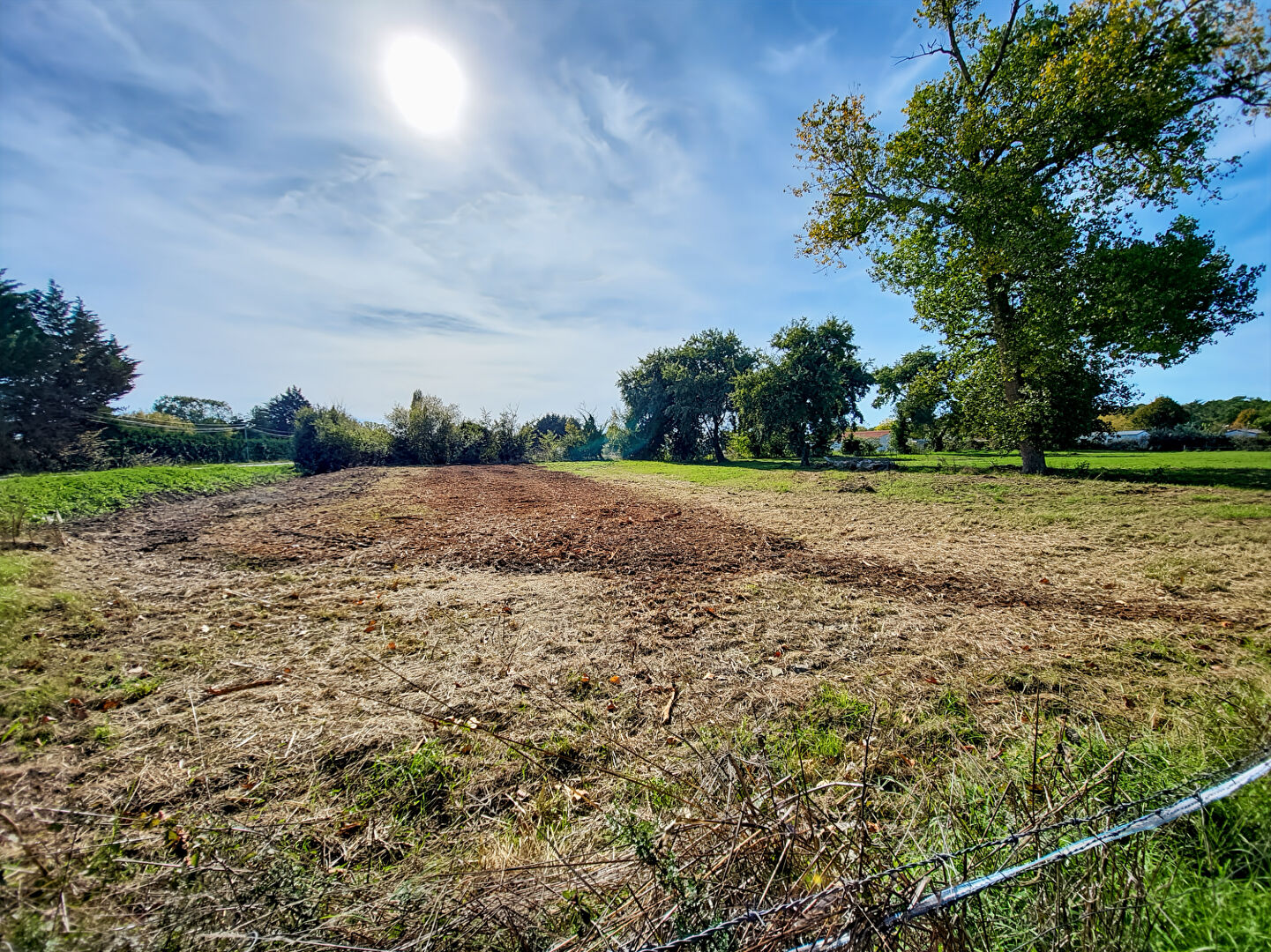 Terrain NOTRE DAME DE MONTS (85690) 450.00 m&sup2;