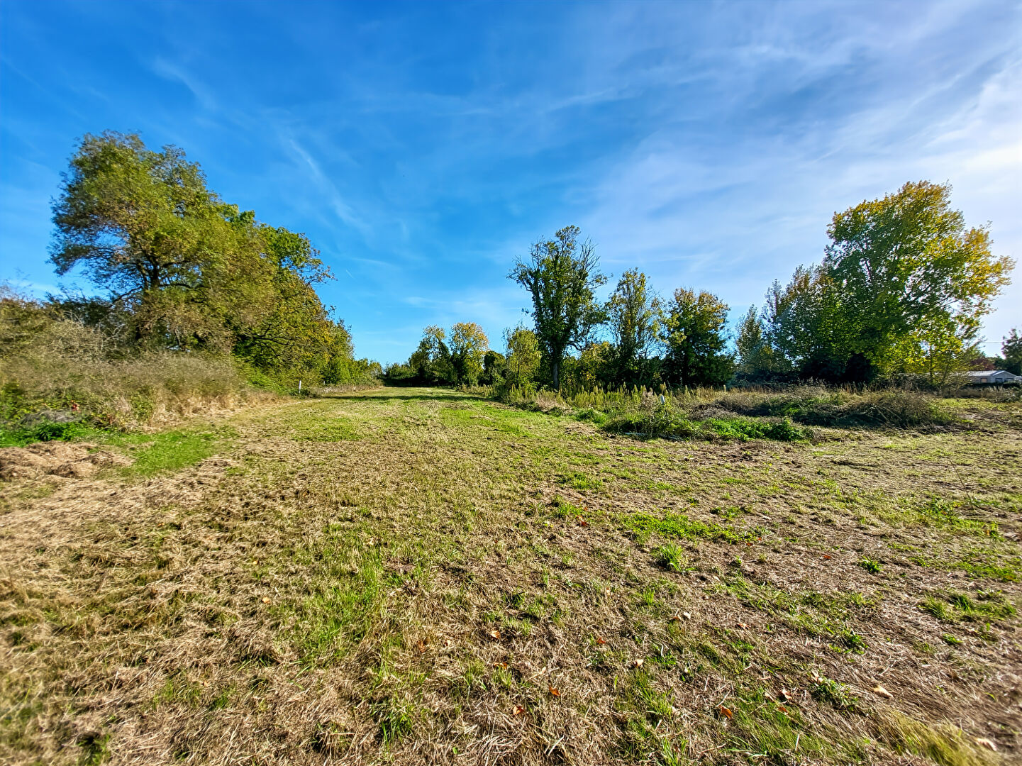 Terrain NOTRE DAME DE MONTS (85690) 589.00 m²