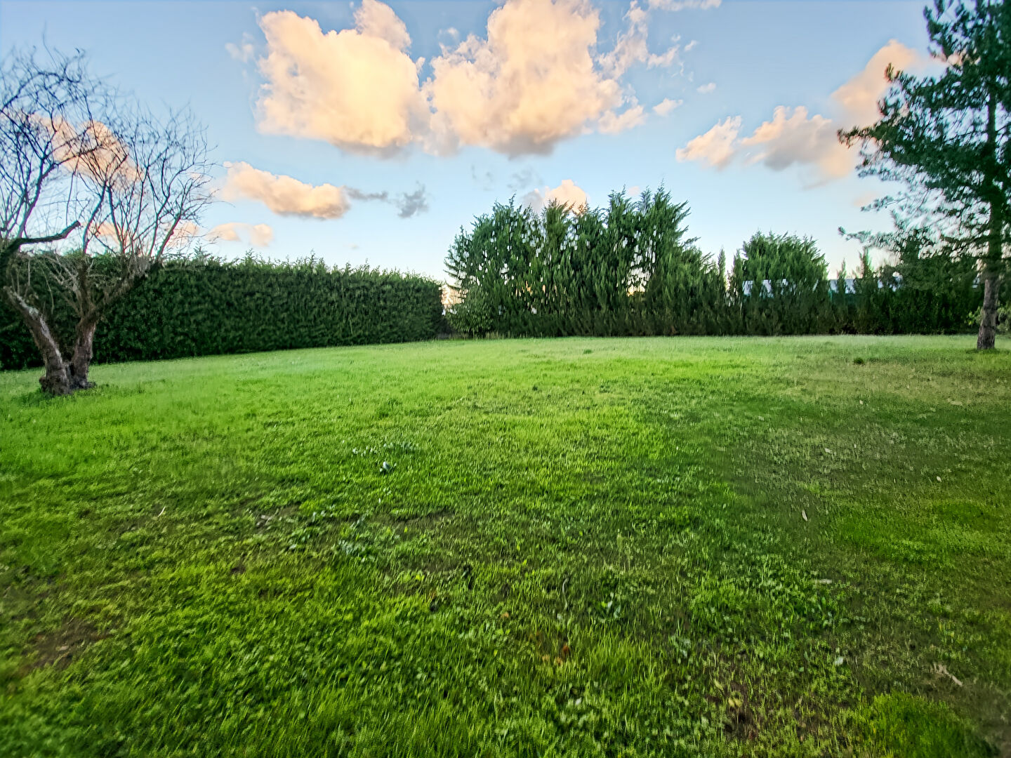 Terrain LA BARRE DE MONTS (85550) 933.00 m&sup2;