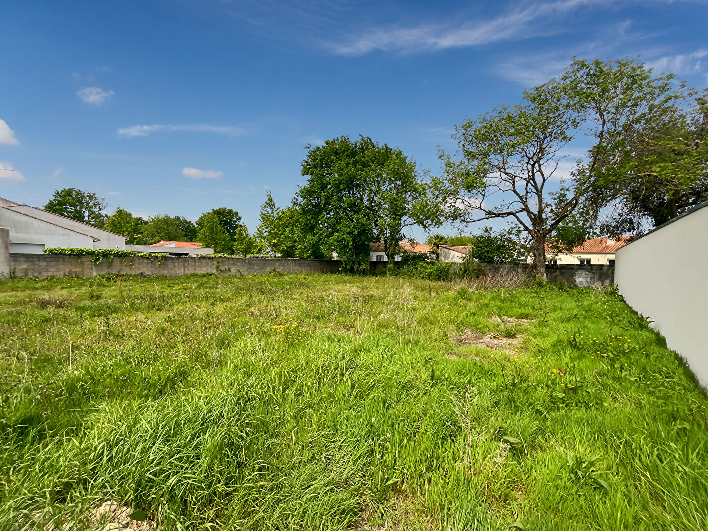 Terrain CHALLANS (85300) 767.00 m&sup2;