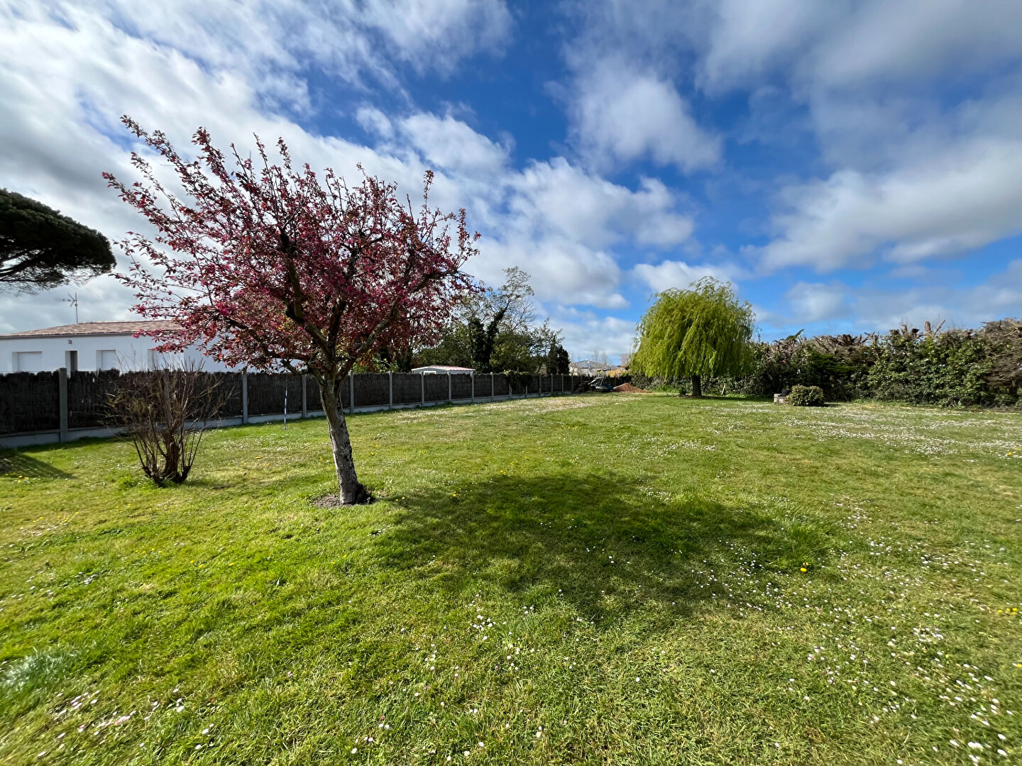 Terrain LA BARRE DE MONTS (85550) 705.00 m&sup2;