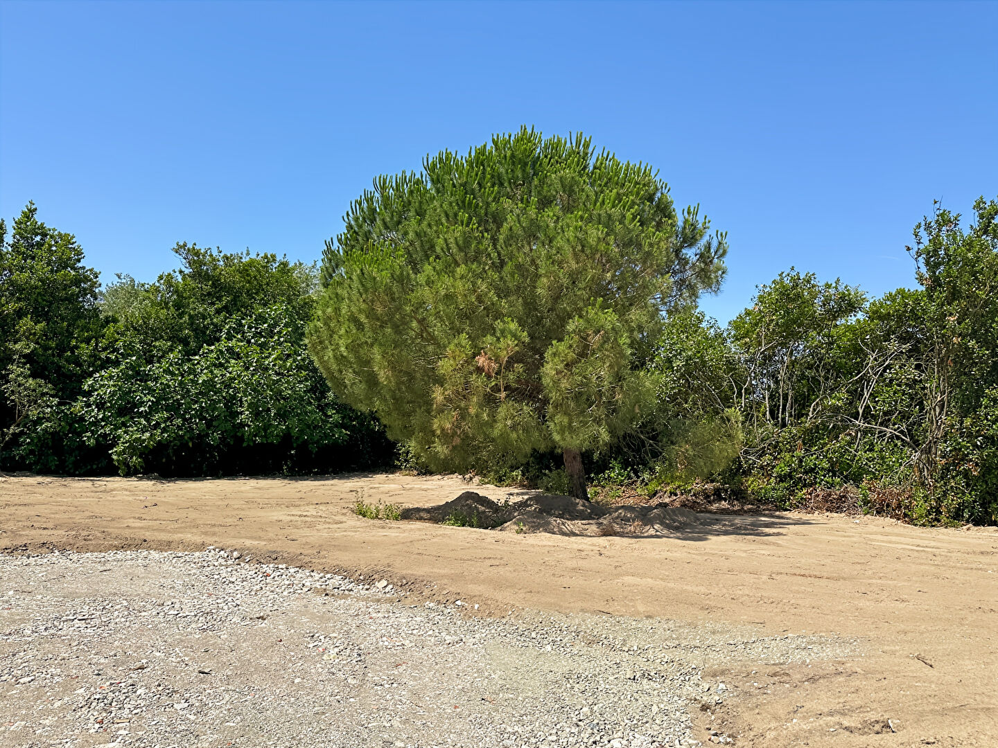 Terrain SAINT JEAN DE MONTS (85160) 436.00 m&sup2;