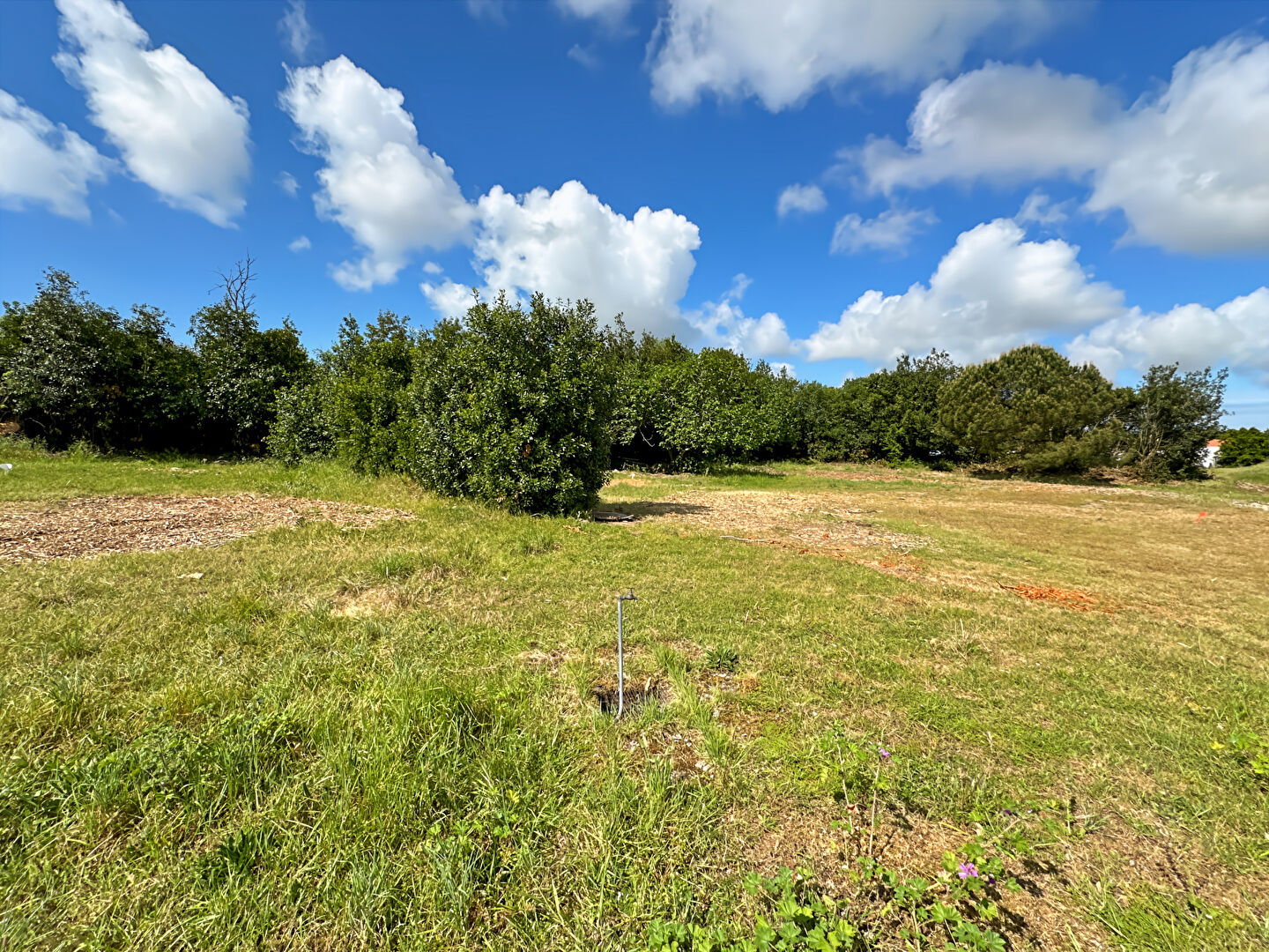Terrain SAINT JEAN DE MONTS (85160) 426.00 m&sup2;