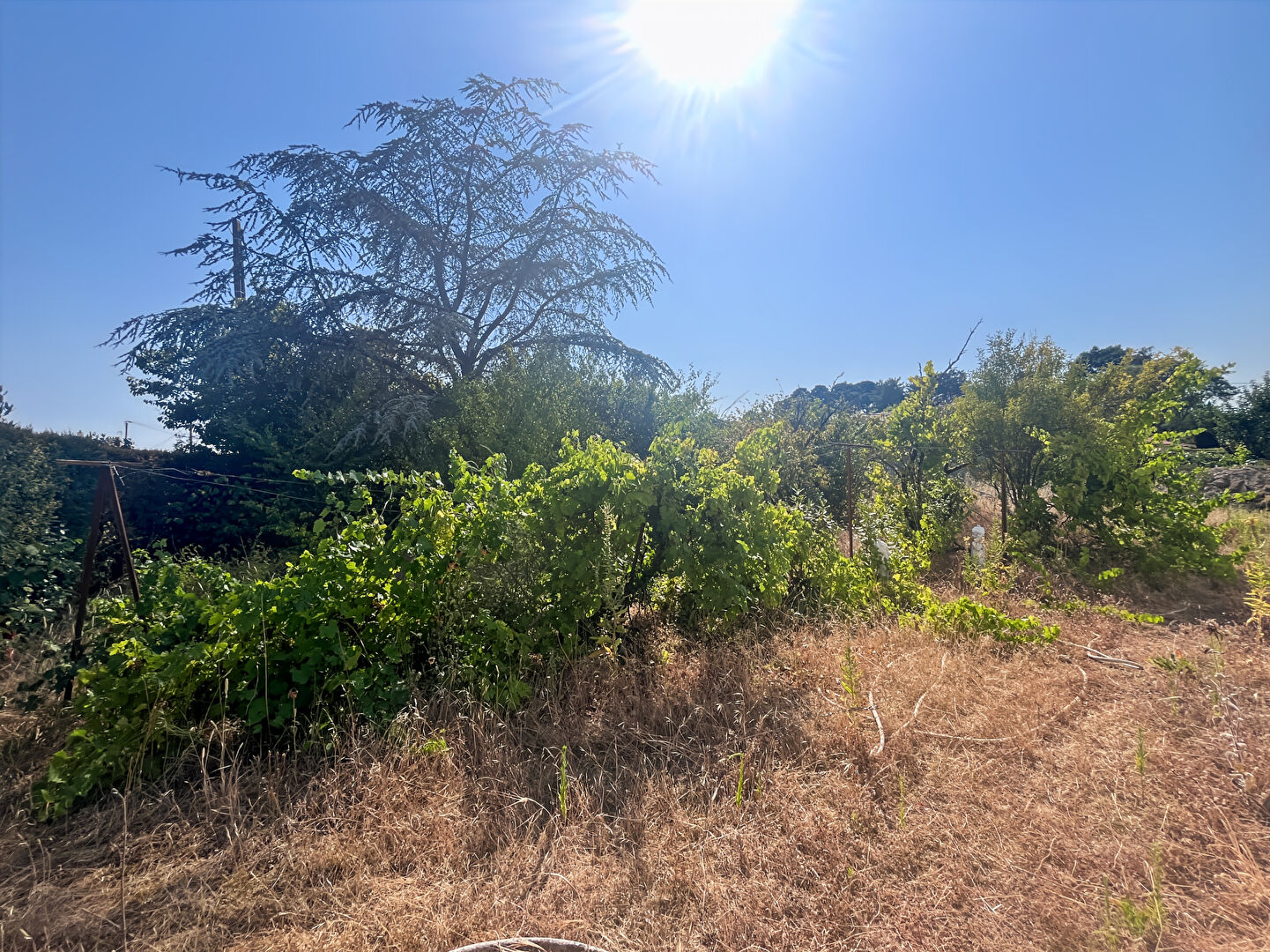 Terrain CHALLANS (85300) 450.00 m&sup2;