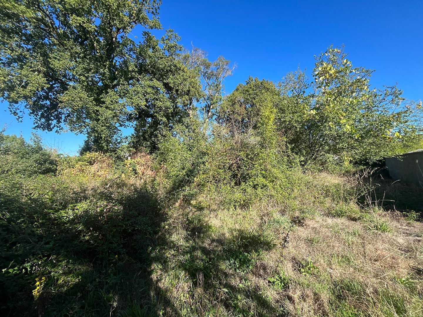 Terrain CHALLANS (85300) 706.00 m&sup2;