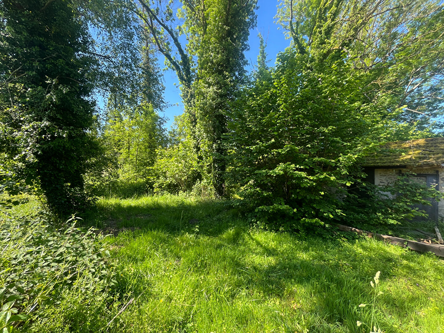 Terrain LE VAL SAINT GERMAIN (91530) 650.00 m&sup2;