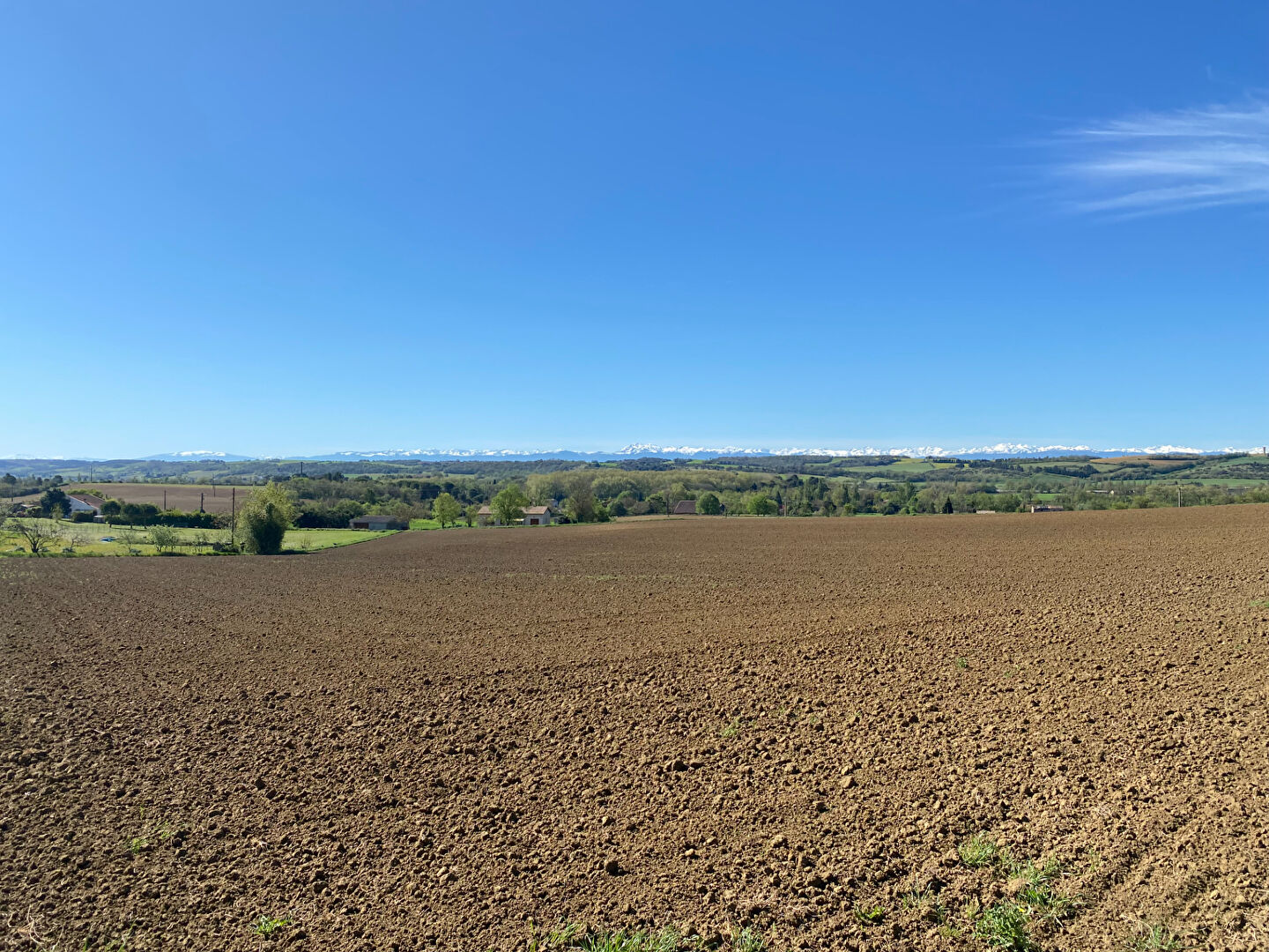 Terrain MONTFERRAND (11320) 10800.00 m²