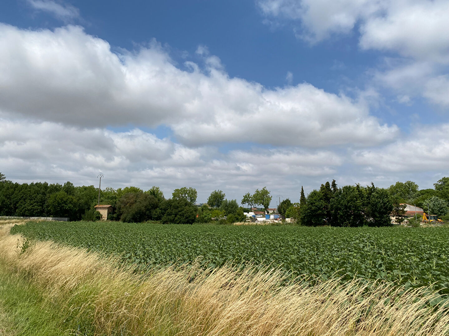 Terrain CASTELNAUDARY (11400) 7400.00 m²