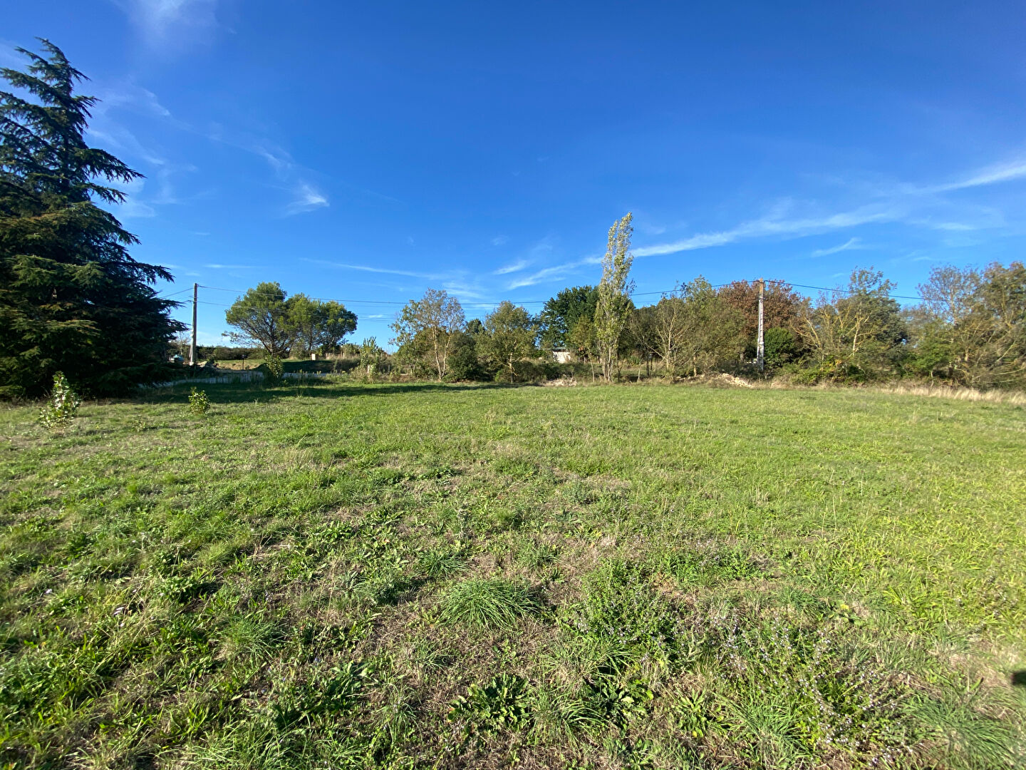 Terrain VILLEPINTE (11150) 1301.00 m²