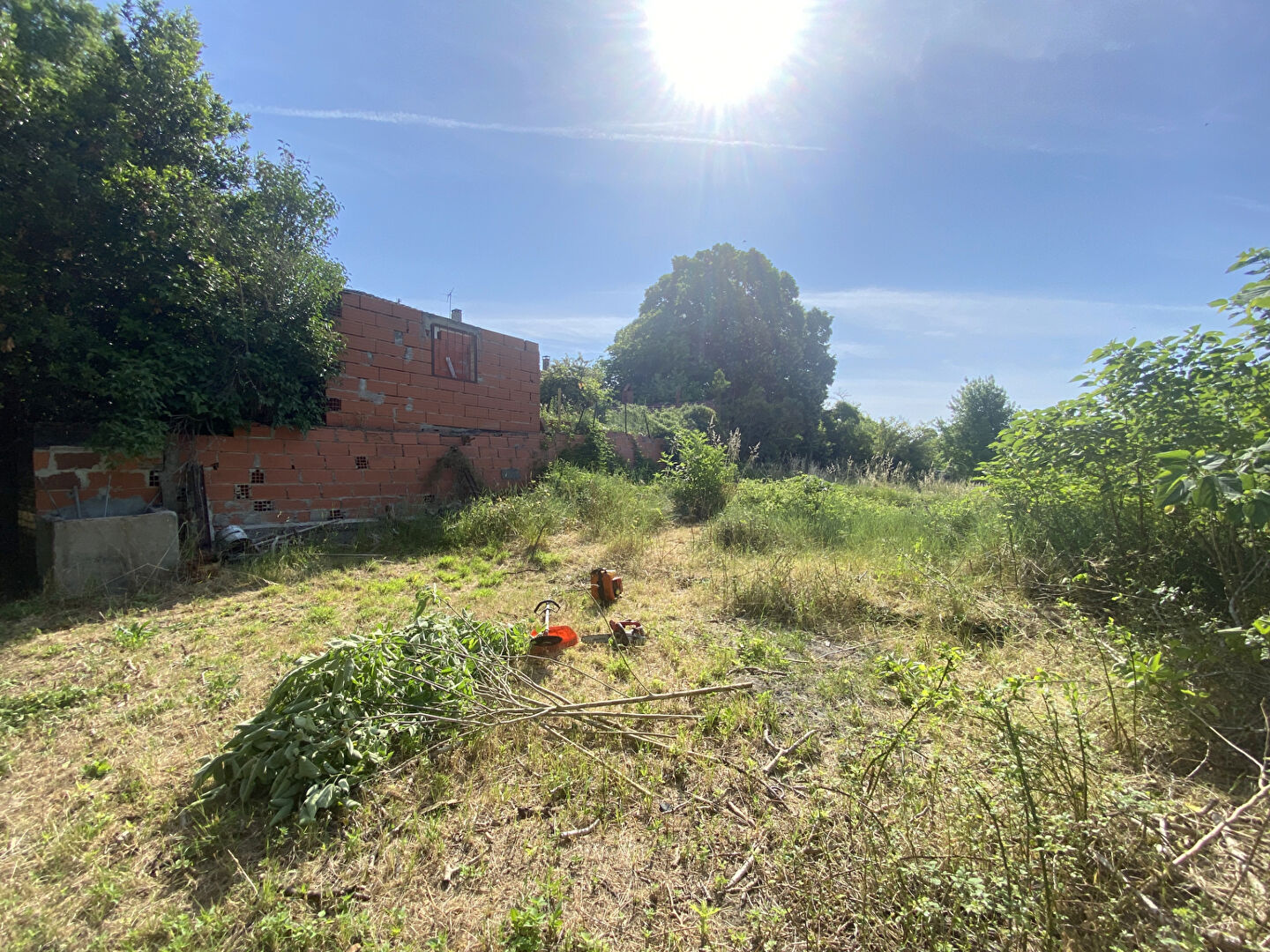 Terrain MONTMAUR (11320) 263.00 m&sup2;