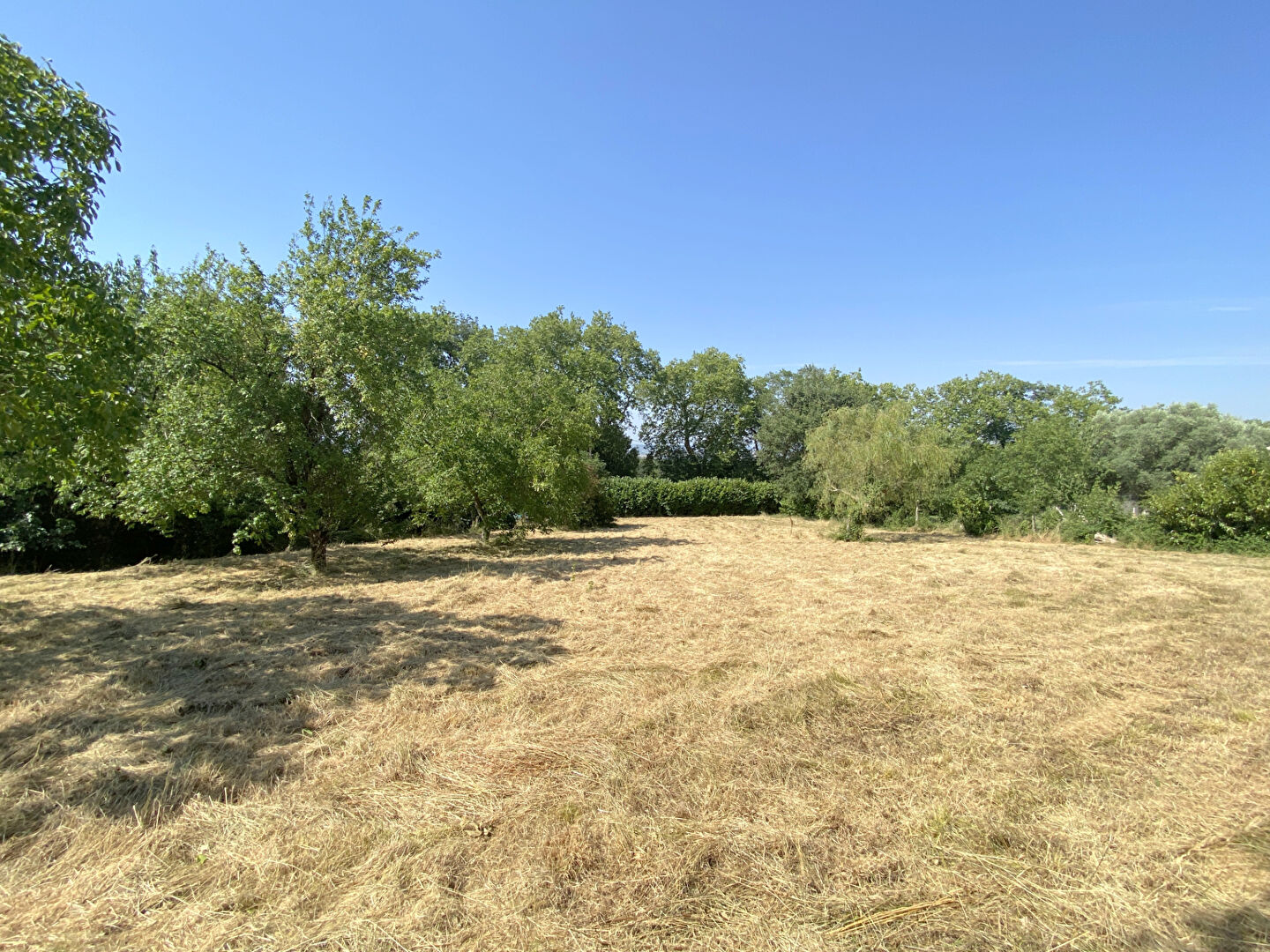 Terrain CASTELNAUDARY (11400) 2663.00 m&sup2;