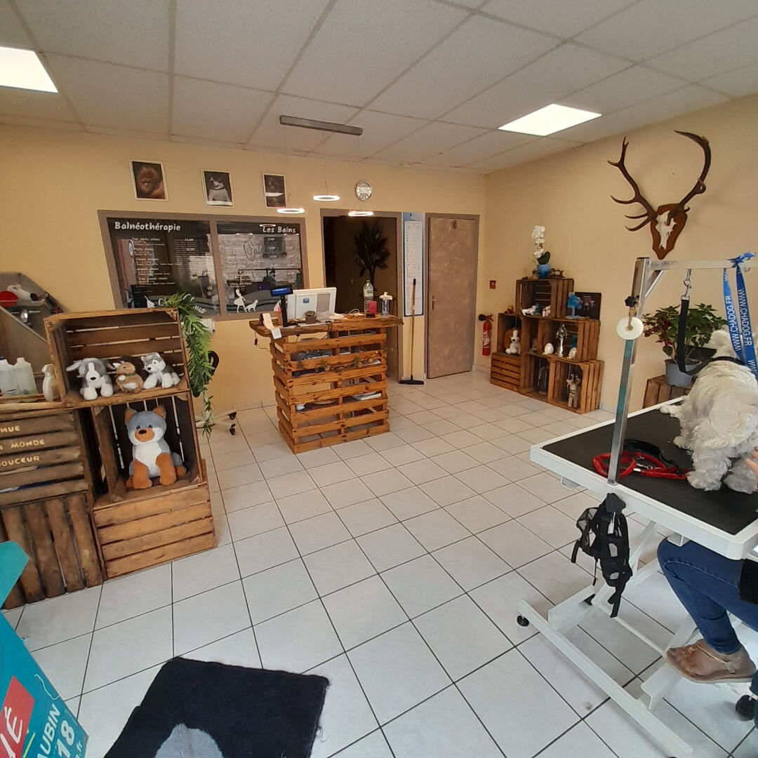Local commercial la ferté saint aubin (45240) 2 pièces 50.00 m²