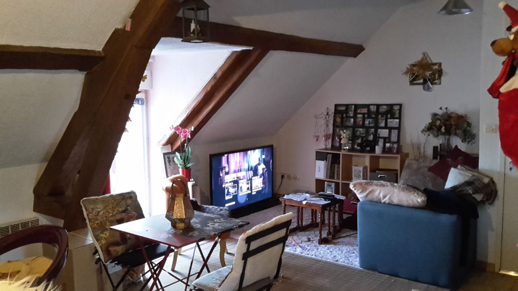 Appartement NOUAN LE FUZELIER (41600) 2 pièces 29.53 m²