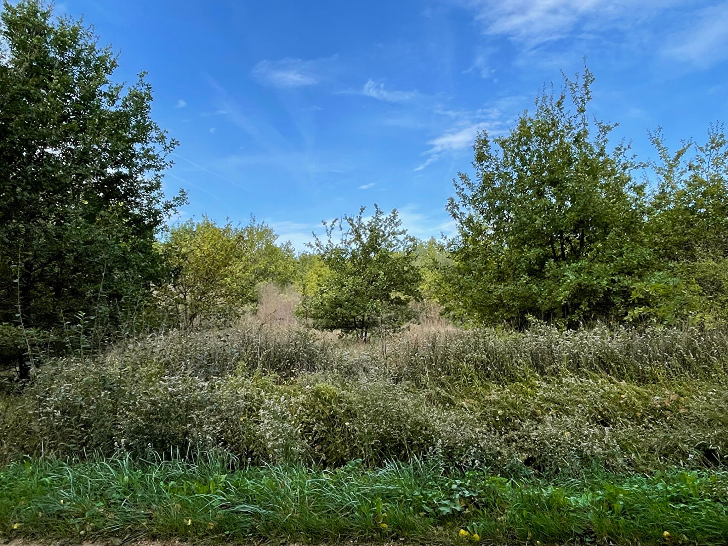 Terrain ROMORANTIN LANTHENAY (41200) 2048.00 m&sup2;