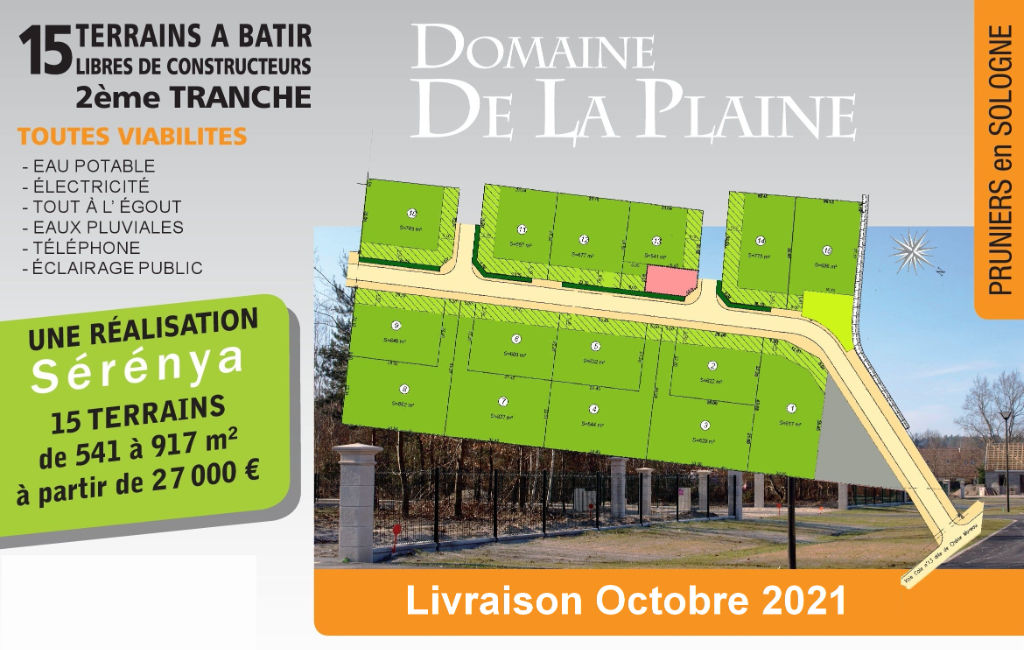 Terrain PRUNIERS EN SOLOGNE (41200) 646.00 m²
