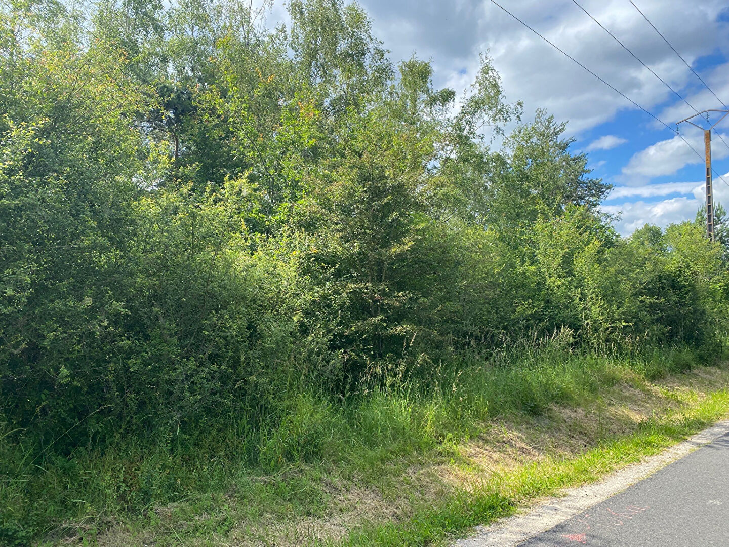 Terrain de loisirs ROMORANTIN LANTHENAY (41200) 943.00 m²