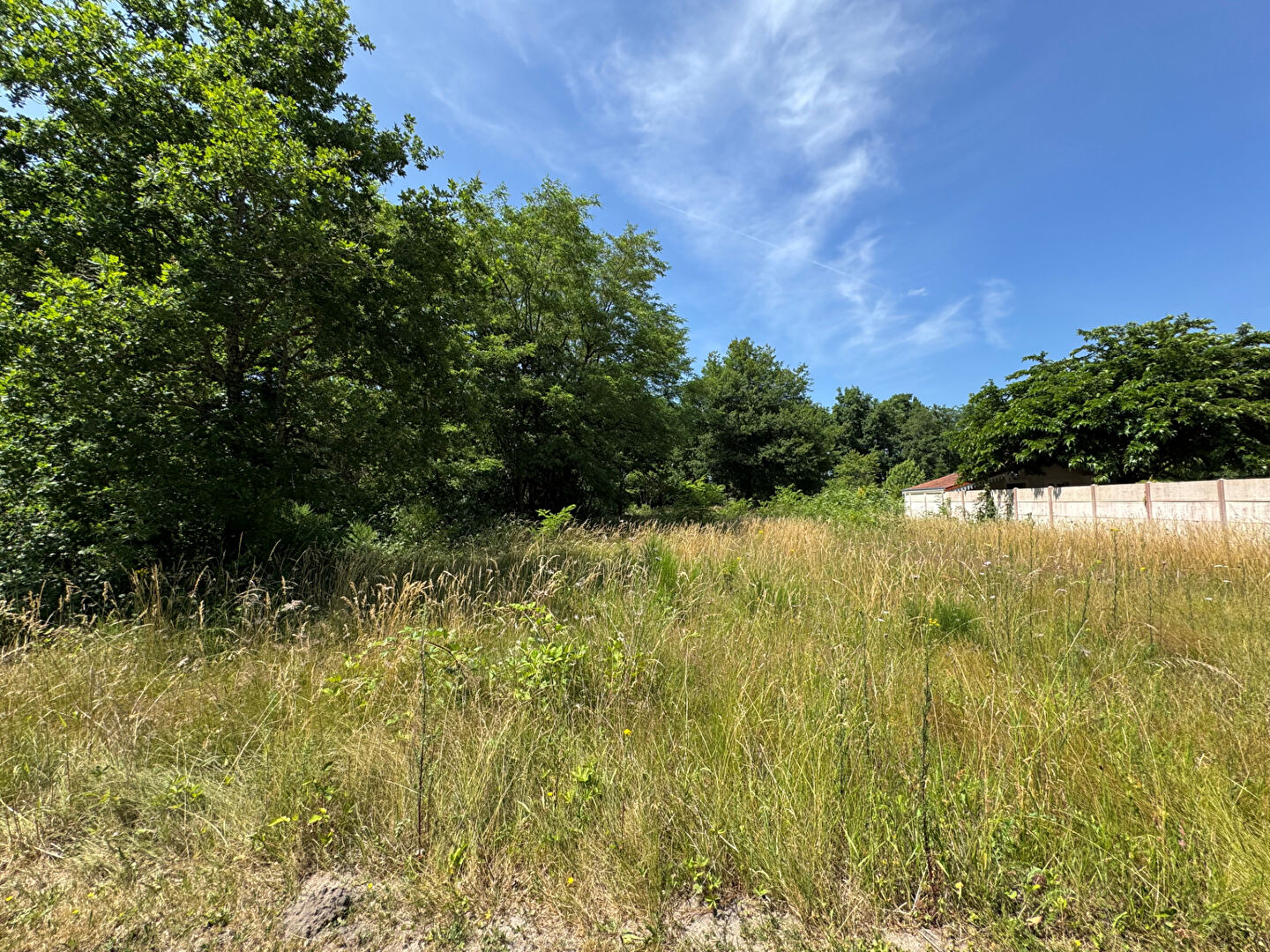 Terrain ROMORANTIN LANTHENAY (41200) 4438.00 m²