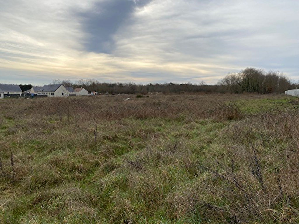 Terrain ROMORANTIN LANTHENAY (41200) 12976.00 m²