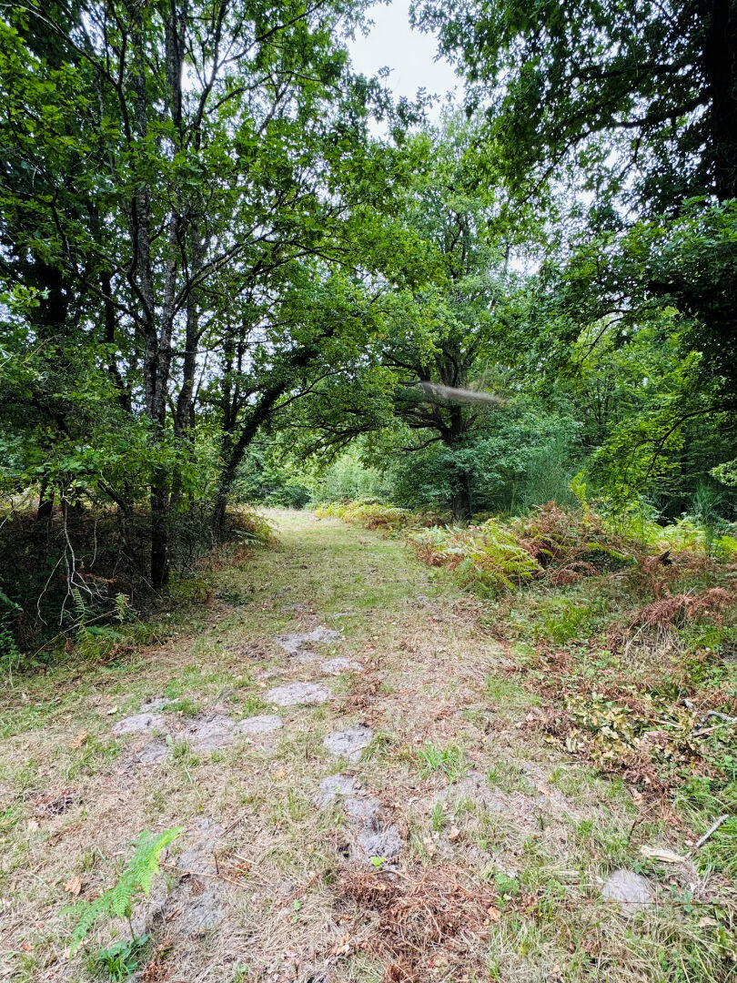 Terrain de loisirs SELLES SUR CHER (41130) 65566.00 m²