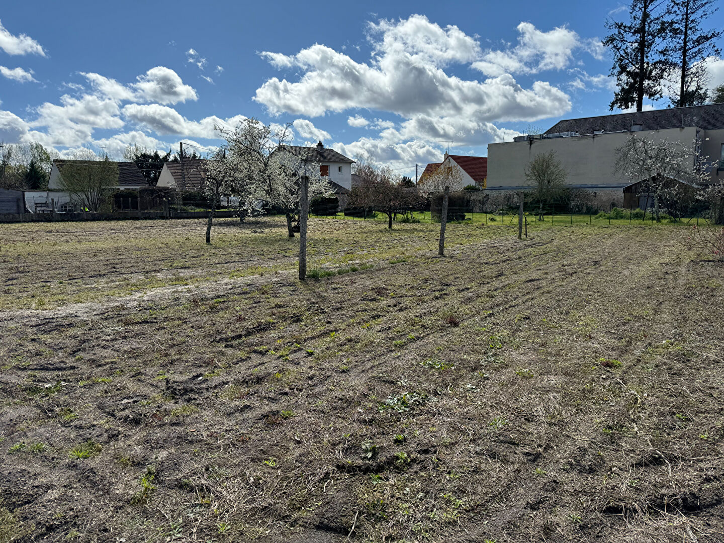 Terrain ROMORANTIN LANTHENAY (41200) 1229.00 m&sup2;