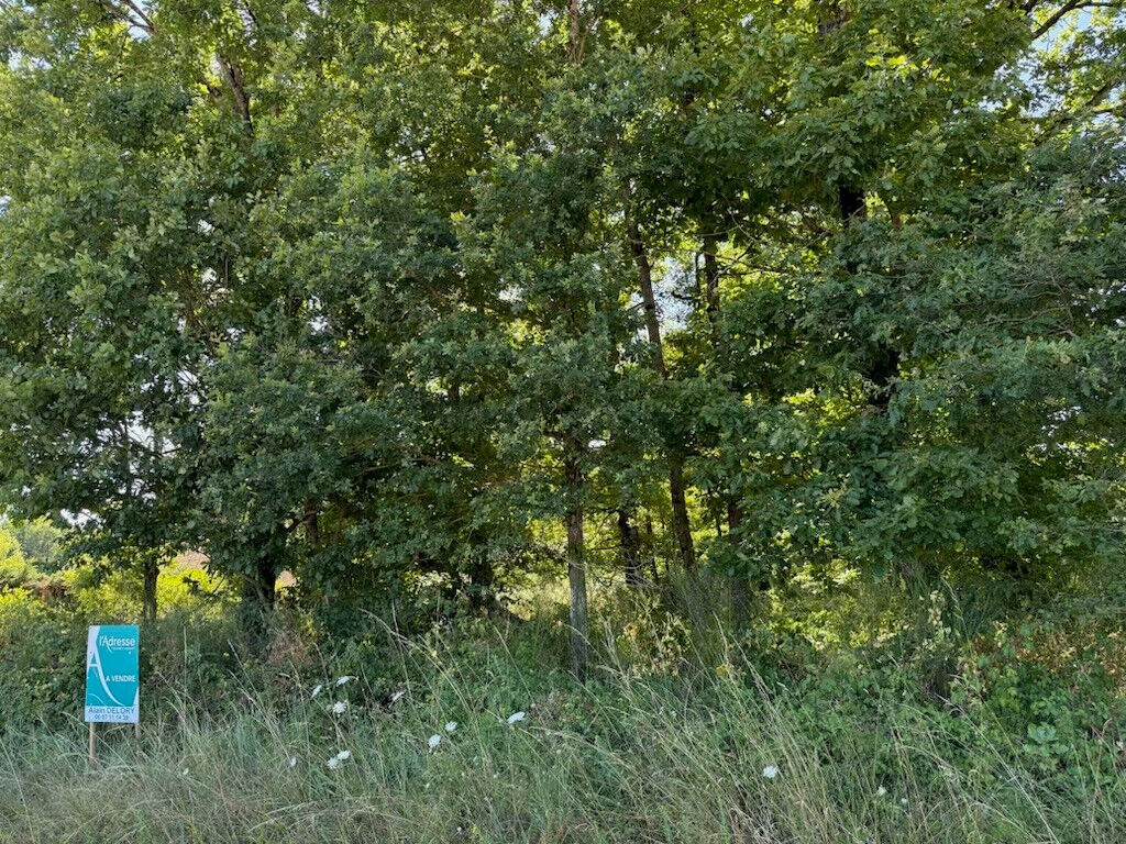 Terrain MUR DE SOLOGNE (41230) 1627.00 m&sup2;