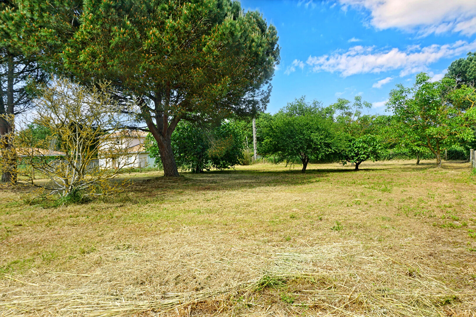 Terrain MONTAIGUT SUR SAVE (31530) 1580.00 m²