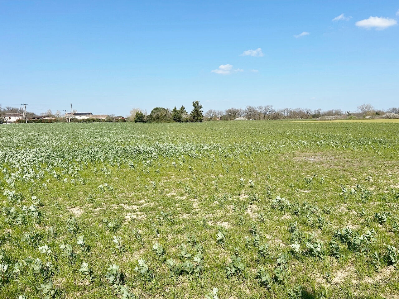 Terrain MONDONVILLE (31700) 4161.00 m&sup2;