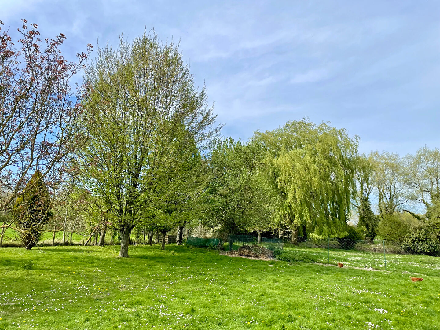 Maison VERTON (62180) 9 pièces 274.00 m²