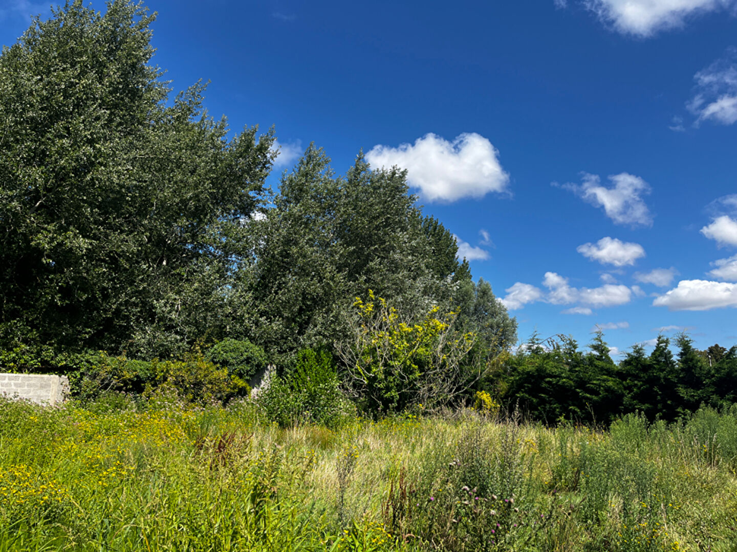 Terrain CUCQ (62780) 608.00 m²