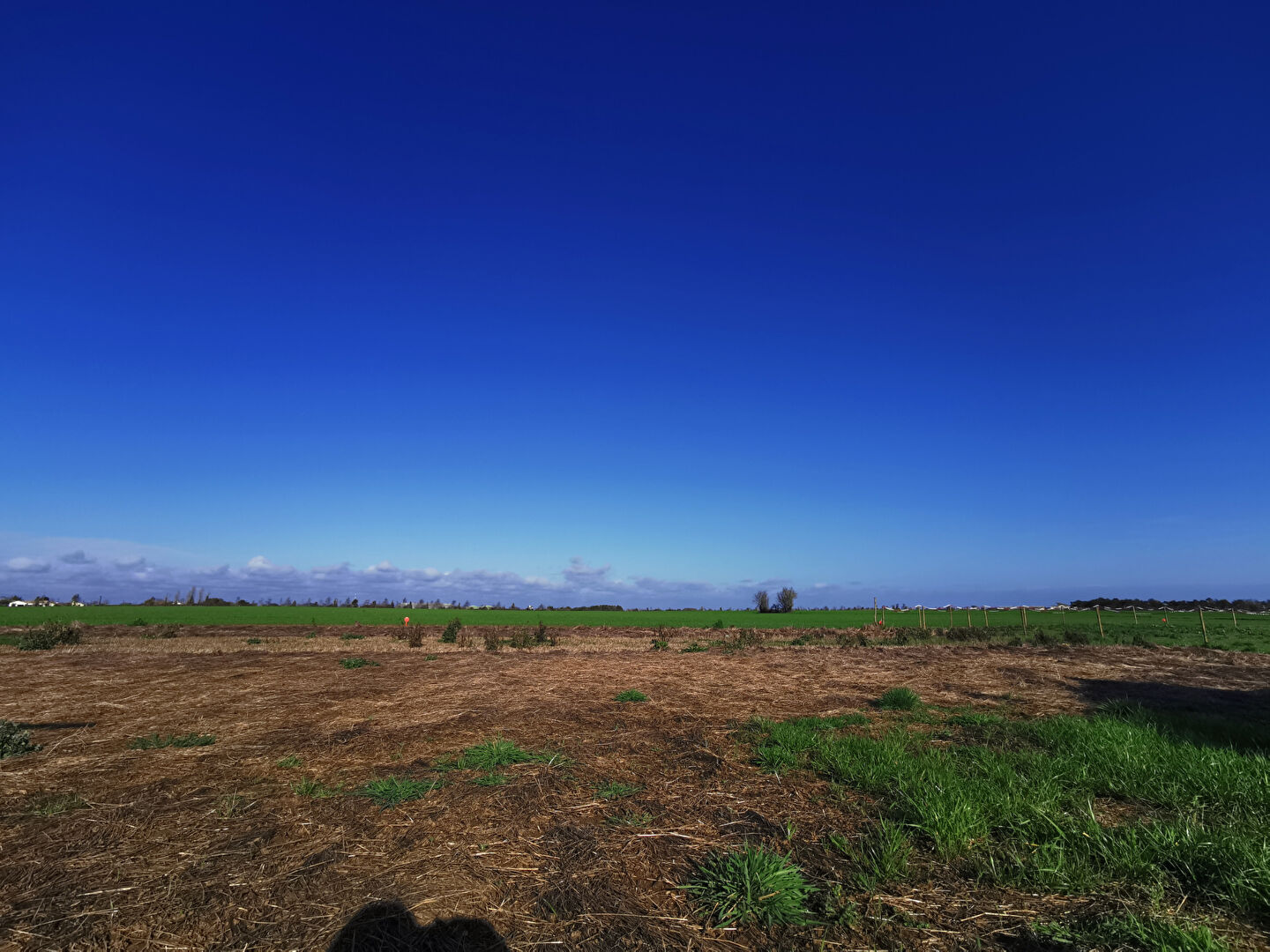 Terrain Talmont Saint Hilaire (85440) 715.00 m²