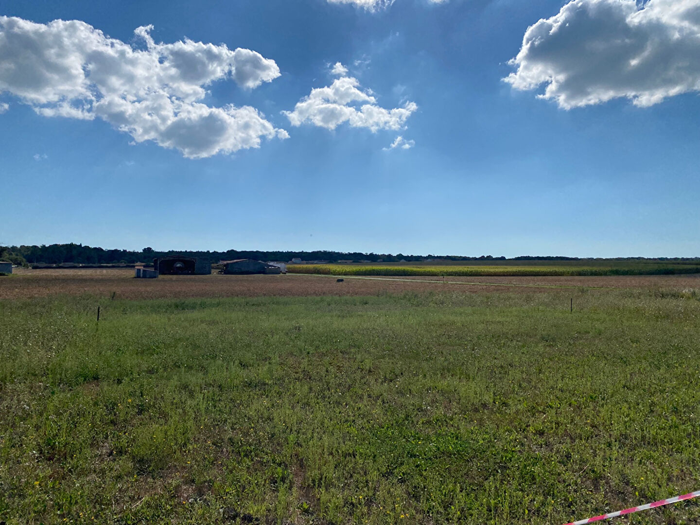Terrain LONGEVILLE SUR MER (85560) 504.00 m²
