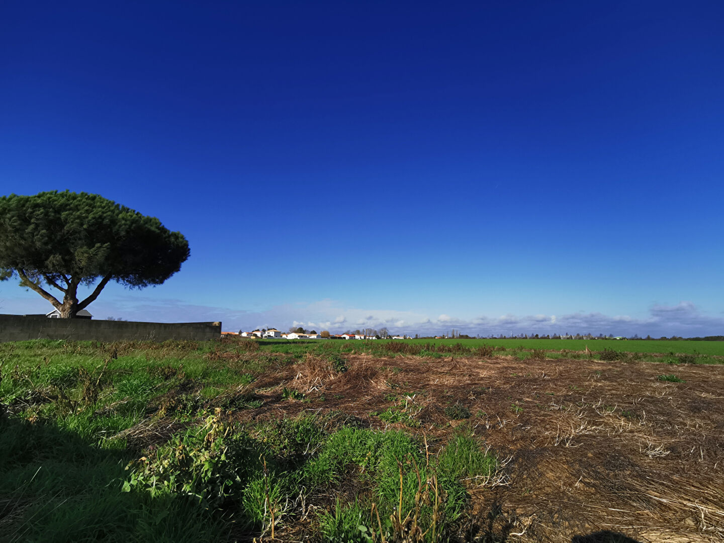 Terrain Talmont Saint Hilaire (85440) 808.00 m²