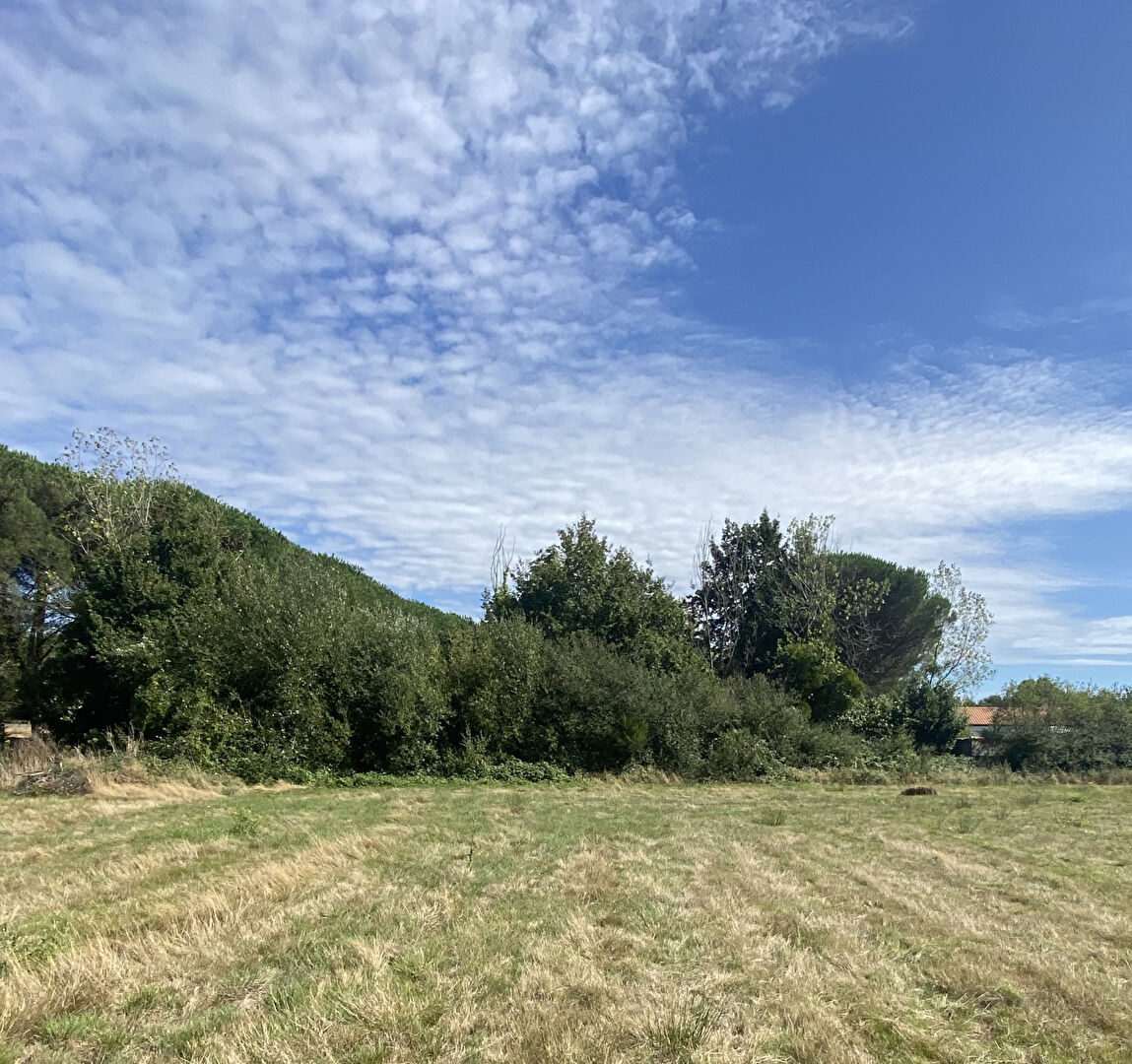 Terrain TALMONT SAINT HILAIRE (85440) 1461.00 m²