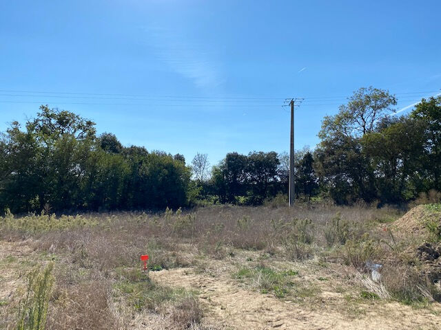 Terrain AVRILLE (85440) 577.00 m²