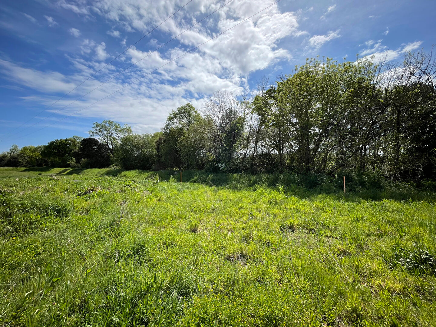 Terrain AVRILLE (85440) 577.00 m&sup2;