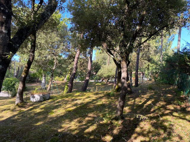 Terrain LONGEVILLE SUR MER (85560)