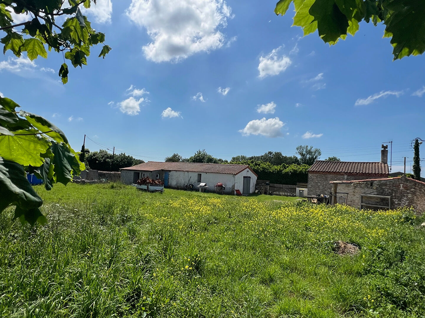 Maison LONGEVILLE SUR MER (85560) 5 pi&egrave;ces 145.00 m&sup2;