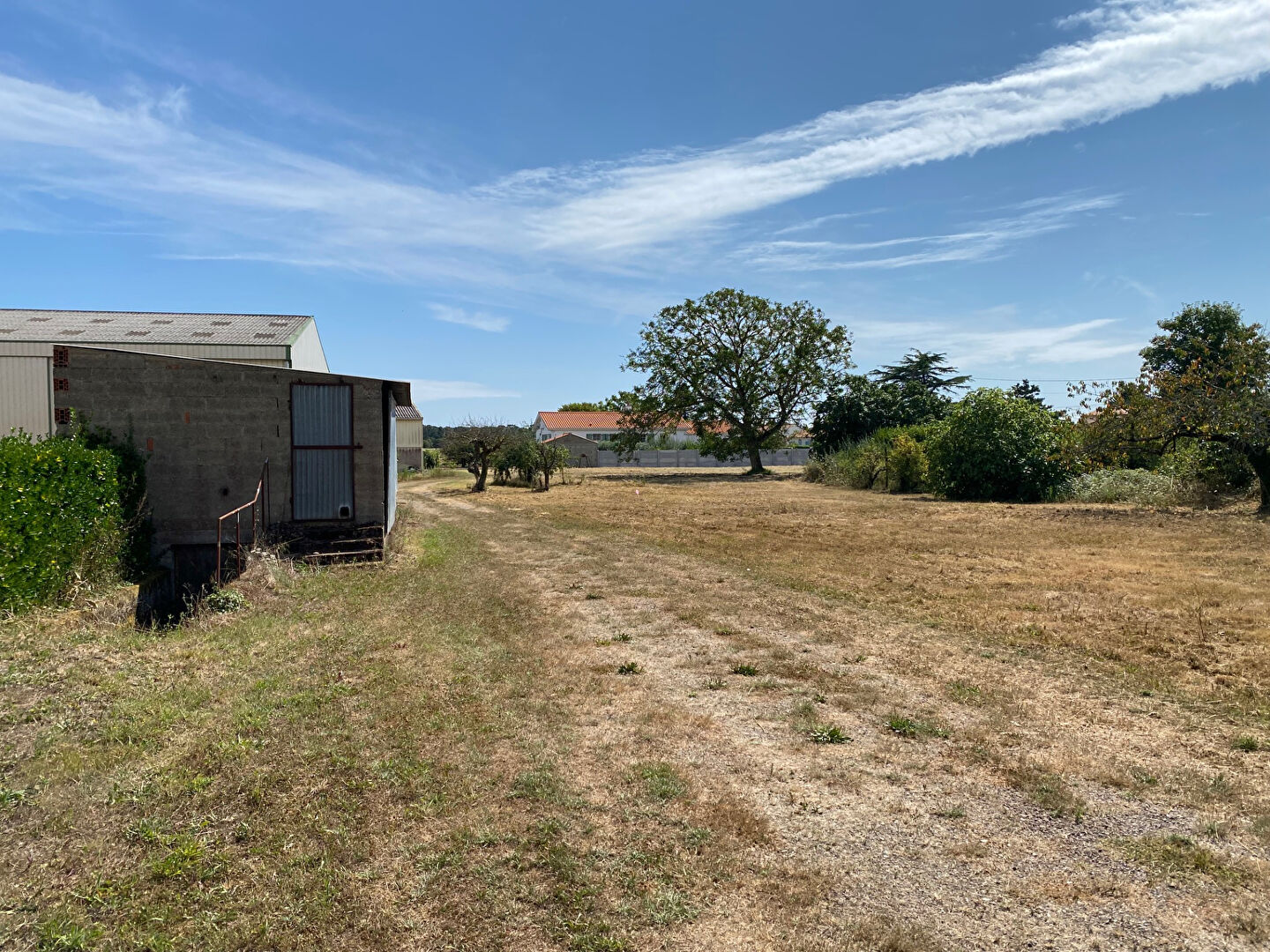 Terrain LONGEVILLE SUR MER (85560) 617.00 m²
