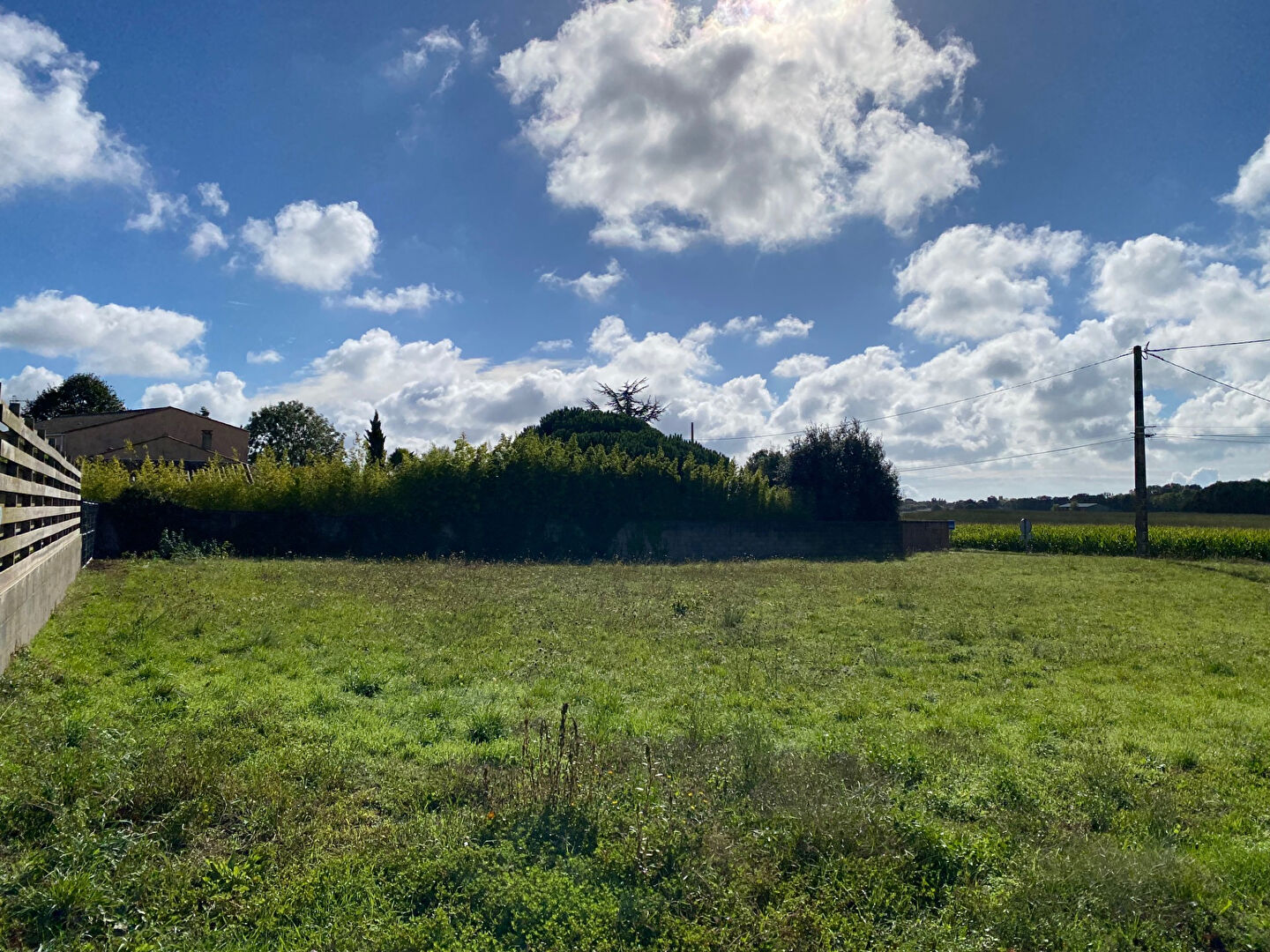 Terrain LONGEVILLE SUR MER (85560) 1478.00 m²