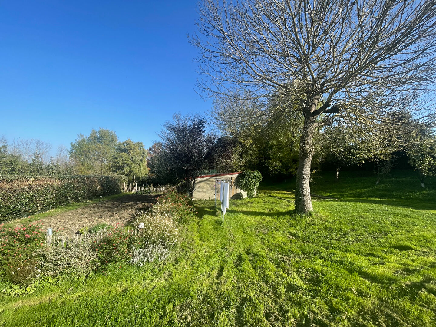 Terrain JARD SUR MER (85520) 2000.00 m²