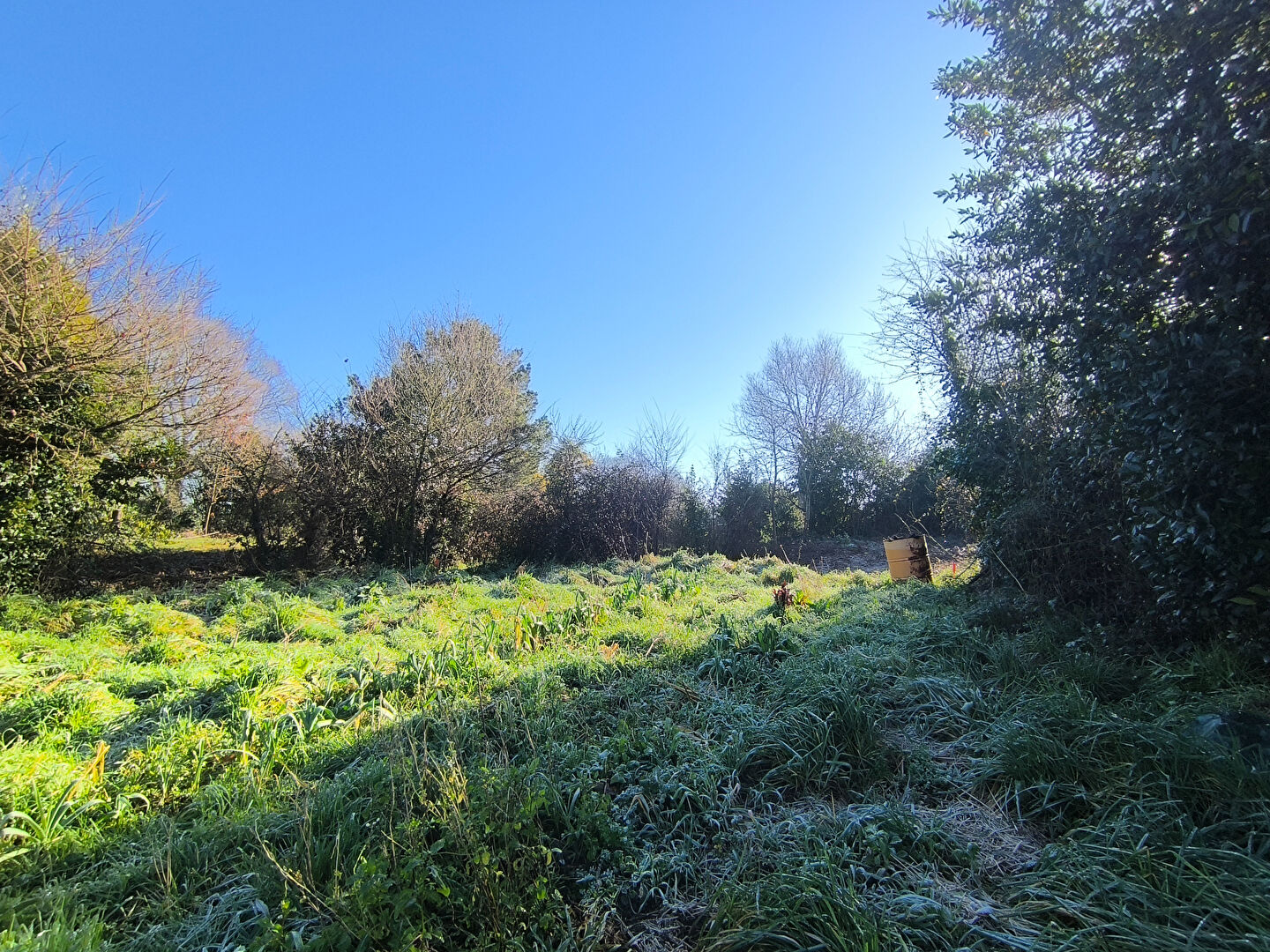 Terrain AVRILLE (85440) 546.00 m²