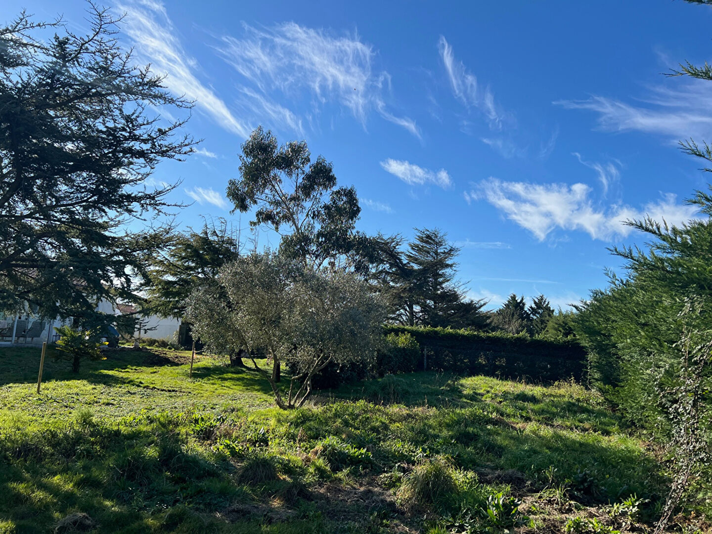Terrain LONGEVILLE SUR MER (85560) 510.00 m²