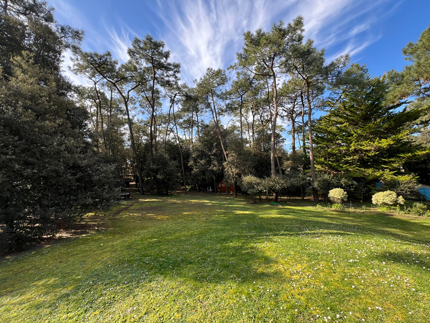 Terrain SAINT VINCENT SUR JARD (85520) 474.00 m²