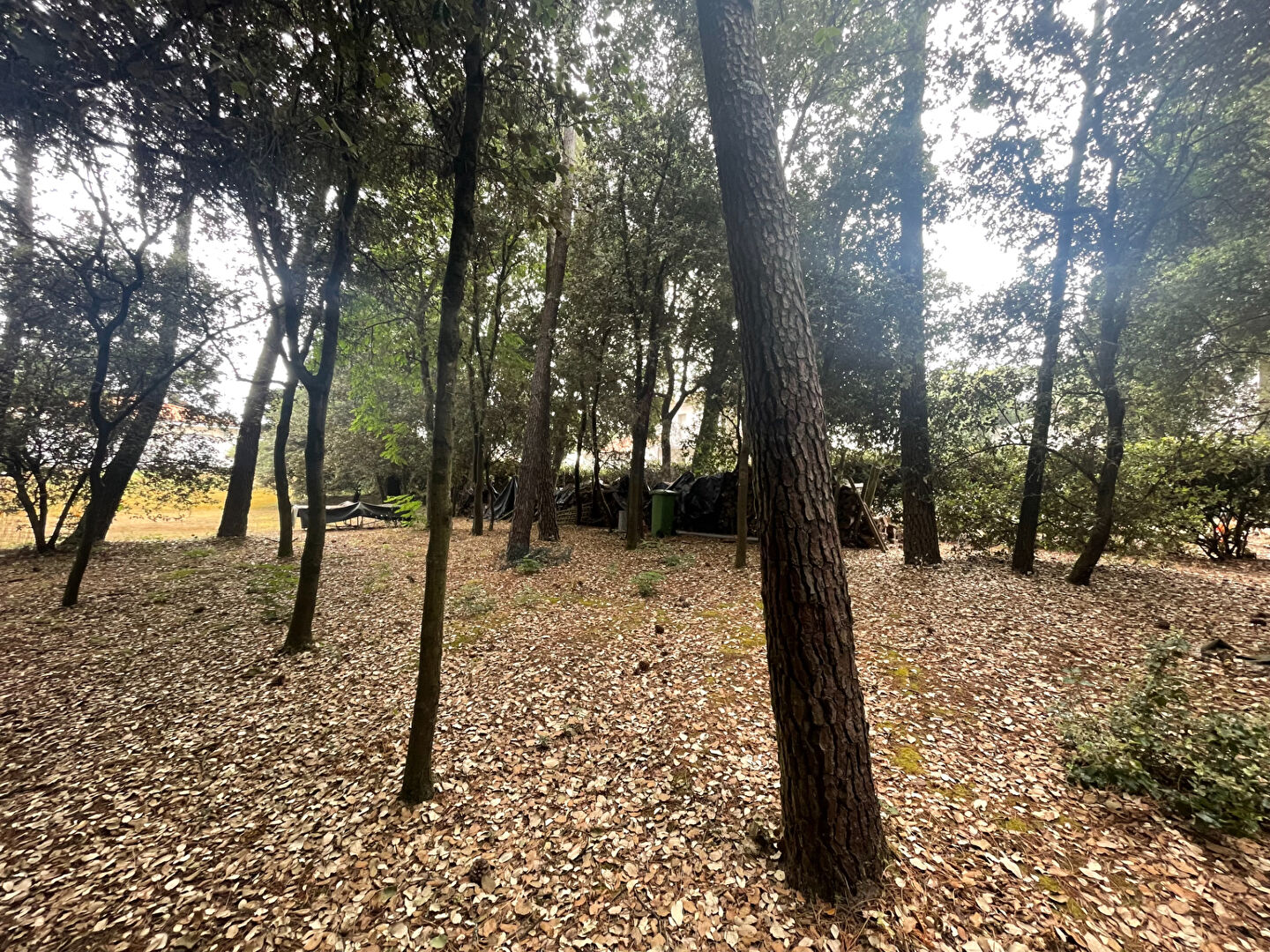Terrain SAINT VINCENT SUR JARD (85520) 341.00 m²