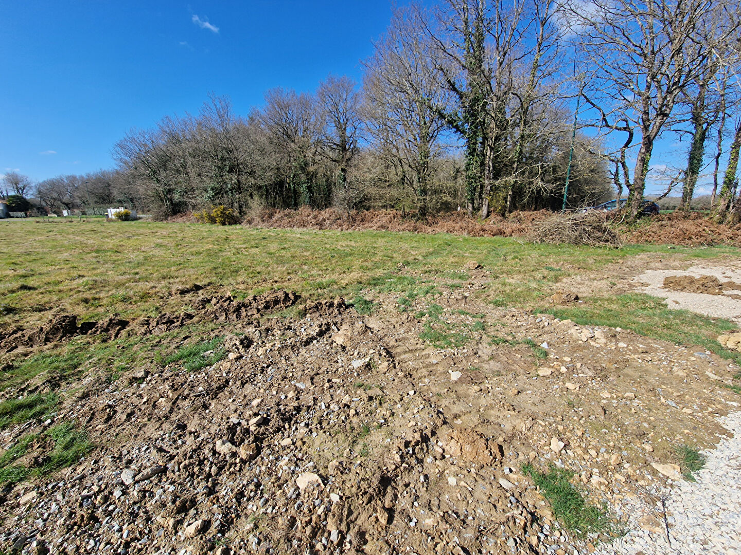 Terrain TALMONT SAINT HILAIRE (85440) 1300.00 m²