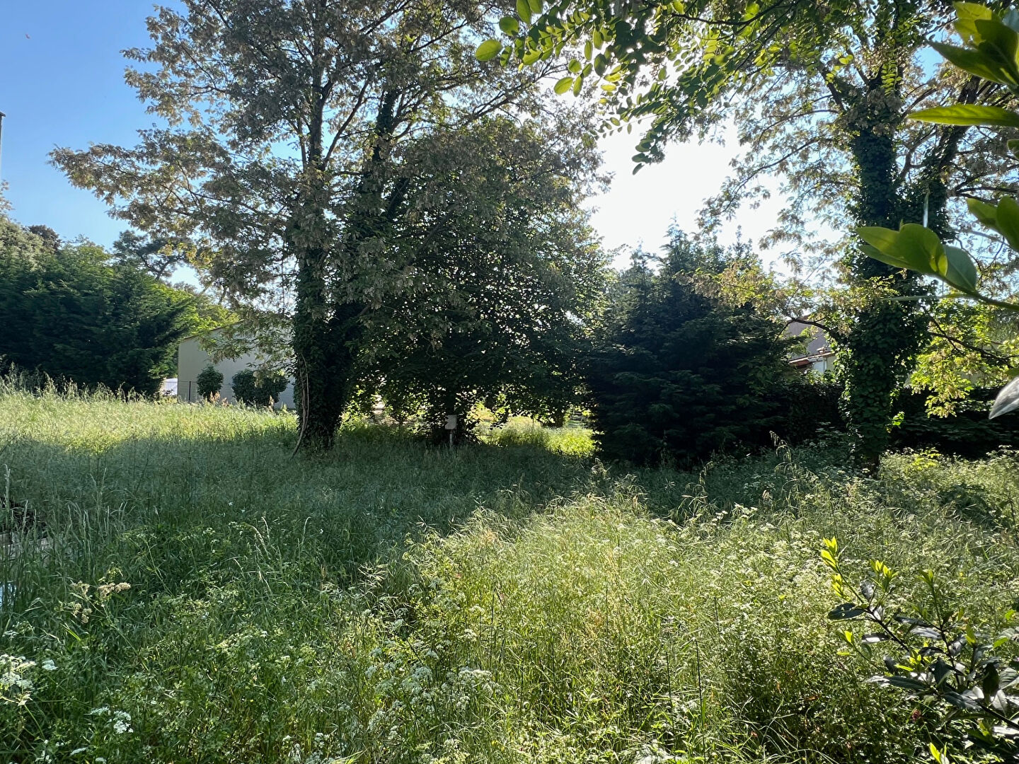 Terrain LONGEVILLE SUR MER (85560) 493.00 m²