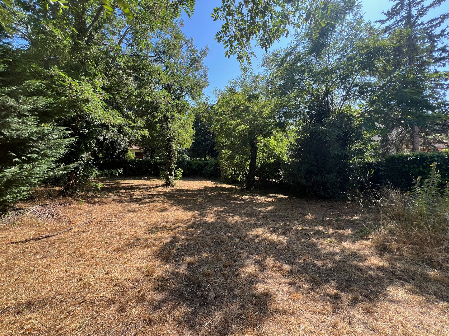 Terrain LONGEVILLE SUR MER (85560) 493.00 m²